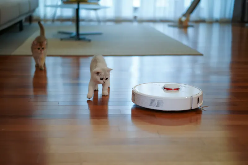 White robot vacuum crossing a glossy hardwood floor while two kittens watch; bright window and rug in the background.